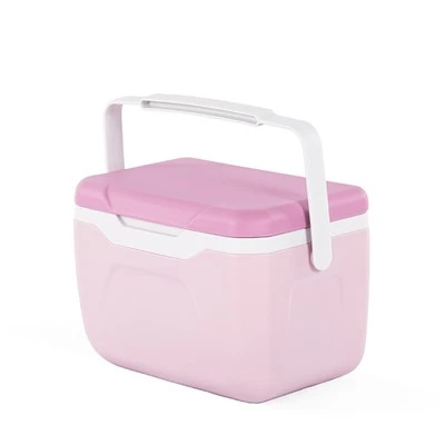 5,5L Mini Food Cooler Box